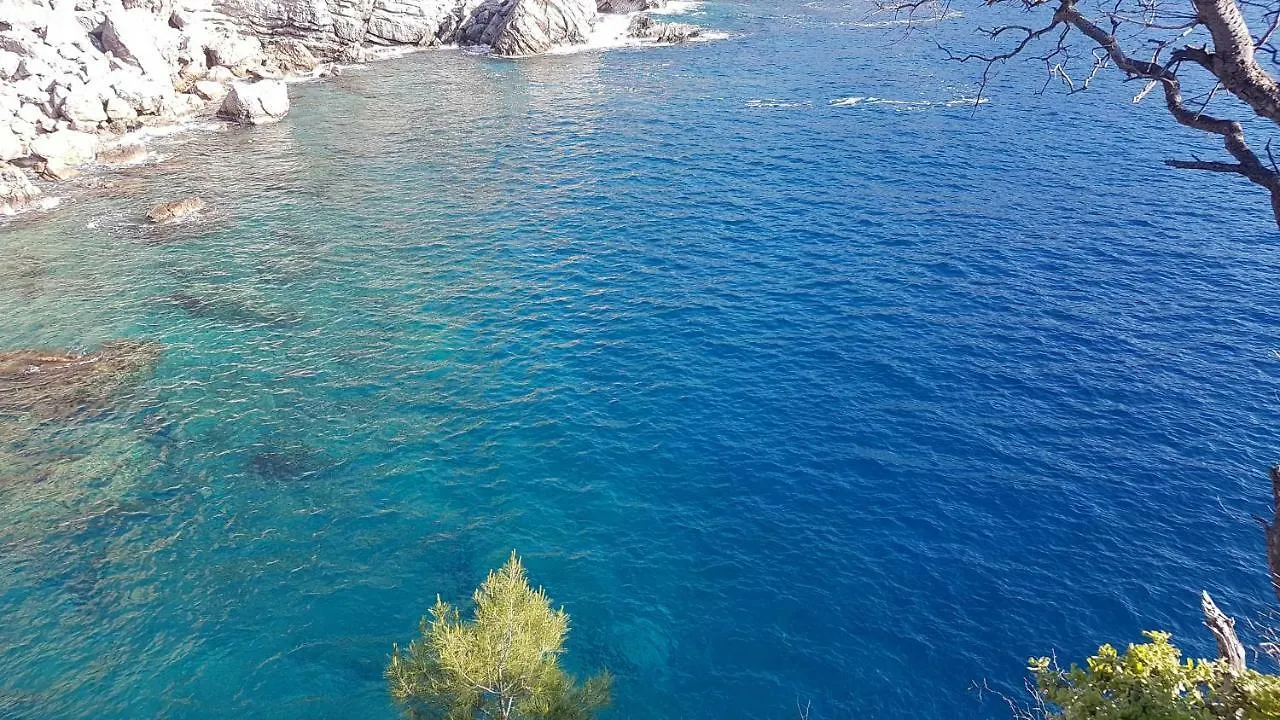 Alarga Sail Boutique Hotel & Yacht Club Marmaris 4*,